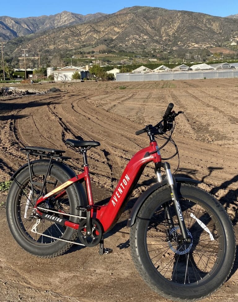 Aventon Carp Copy