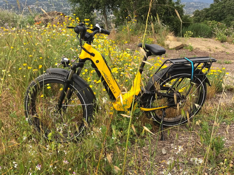 magicycle electric bikes