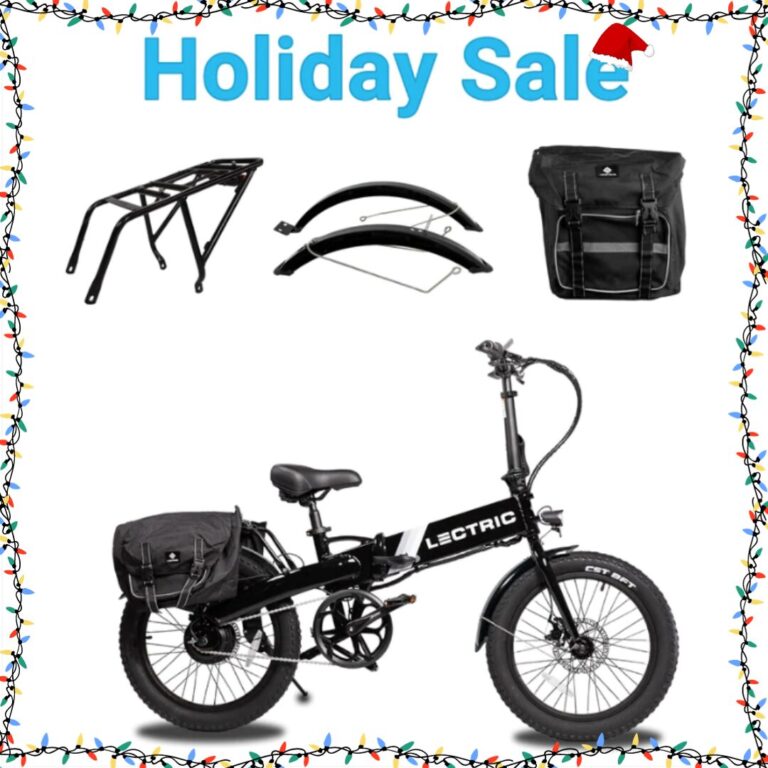 lectric holiday sale