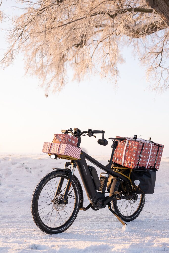 Winter Ebike Storage