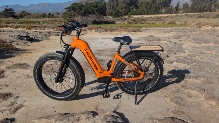 Mokwheel Basalt ebike