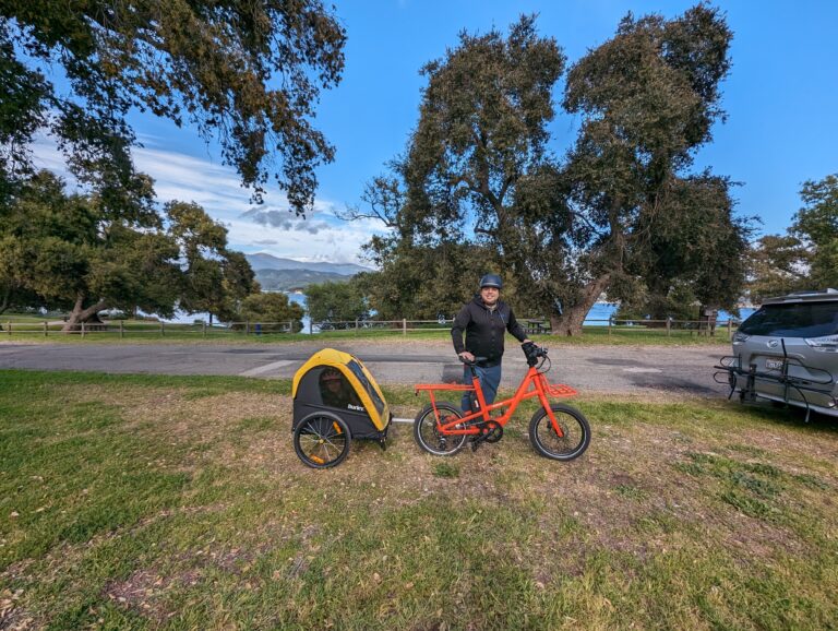 cargo bikes