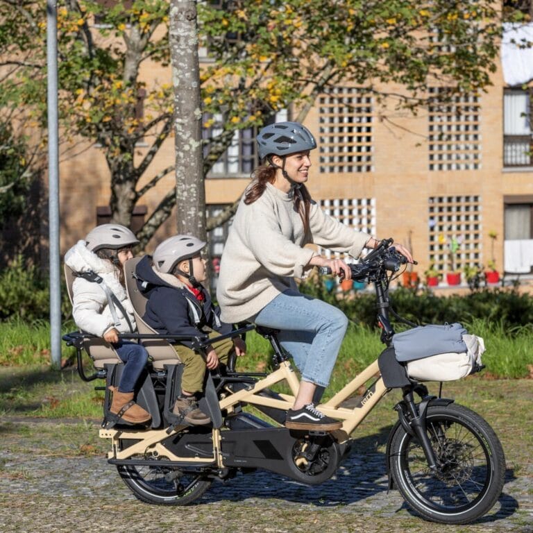 GSD Tern Ebikes